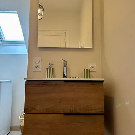 Cosy T2 Plein Centre, Thermes Et Parcs Виши