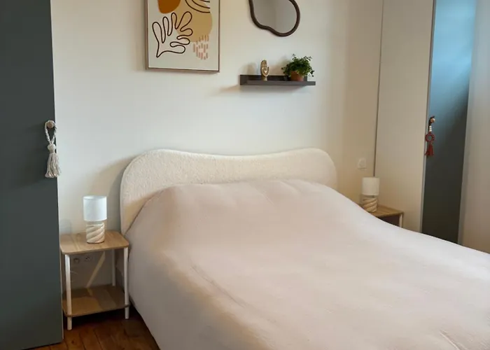 Cosy T2 Plein Centre, Thermes Et Parcs *