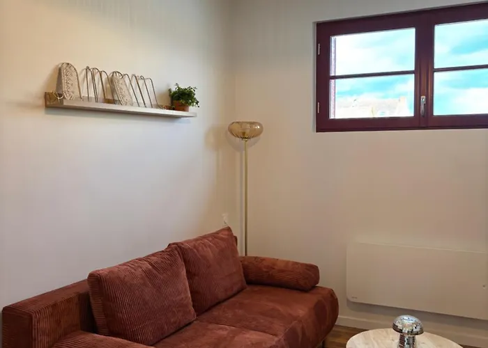 Cosy T2 Plein Centre, Thermes Et Parcs * Виши