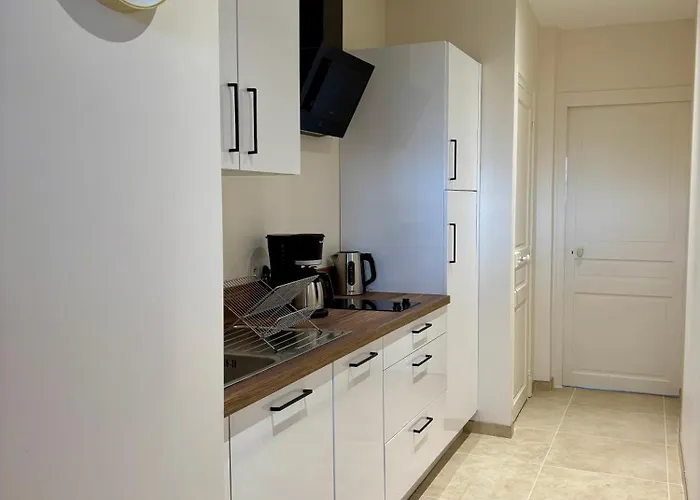 Апартаменты Cosy T2 Plein Centre, Thermes Et Parcs