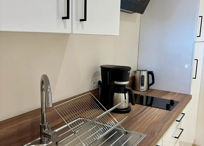 Апартаменты Cosy T2 Plein Centre, Thermes Et Parcs