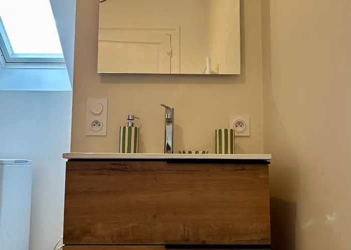 Cosy T2 Plein Centre, Thermes Et Parcs Vichy